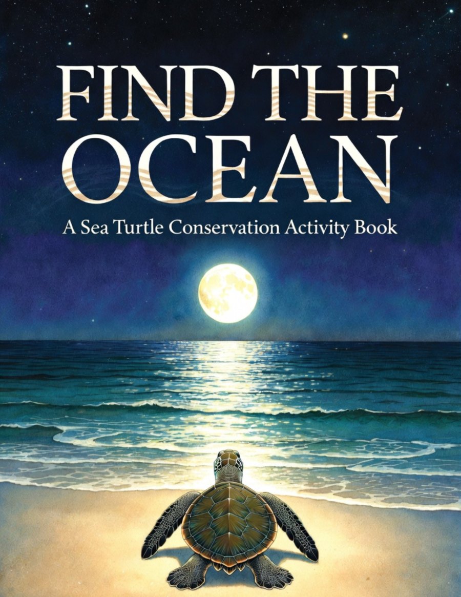 Find the Ocean book cover beside the title — a sea turtle conservation activity book for kids