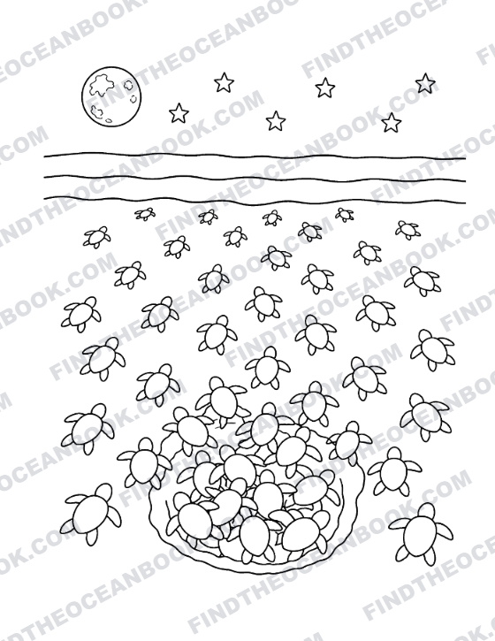Coloring page — hatchlings swarming across the beach at night