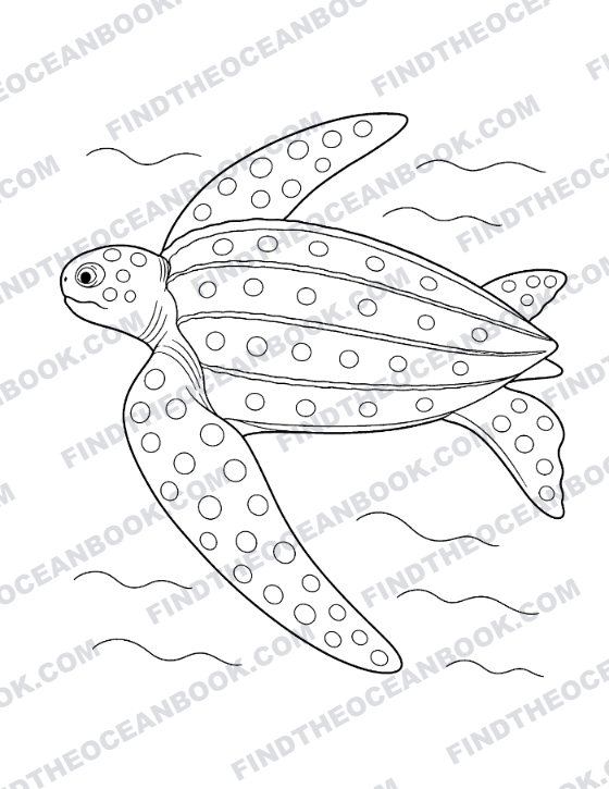 Coloring page — a leatherback gliding through the waves