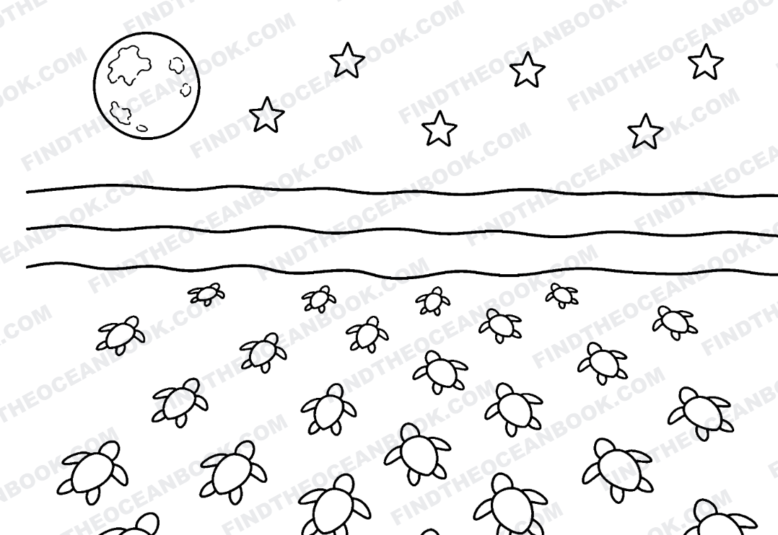 Hatching night — dozens of hatchlings crawl from the nest toward the surf under a full moon