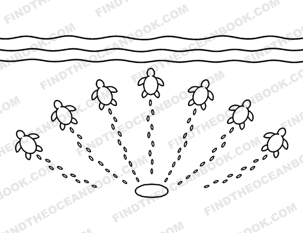 Chapter two illustration — hatchlings fanning out from the nest toward the surf