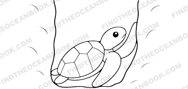 Chapter three illustration — a hatchling climbing up through the sand